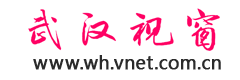 武汉视窗logo